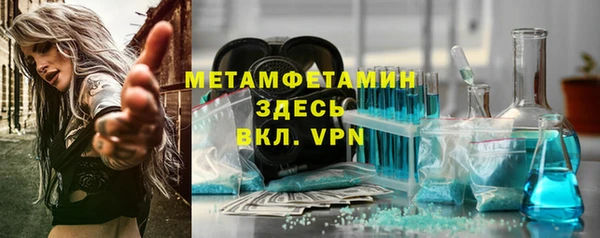 прущие грибы Лабытнанги