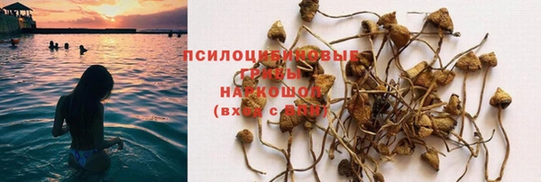 Альфа ПВП Покачи
