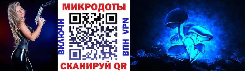 маркетплейс формула  Красноперекопск  Псилоцибиновые грибы Psilocybine cubensis 